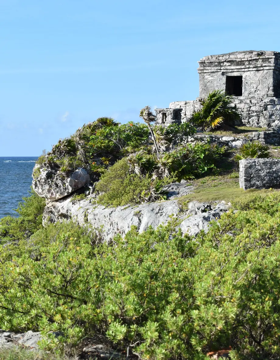 Direct Cancun to Tulum Airport Transfers | Travelfy